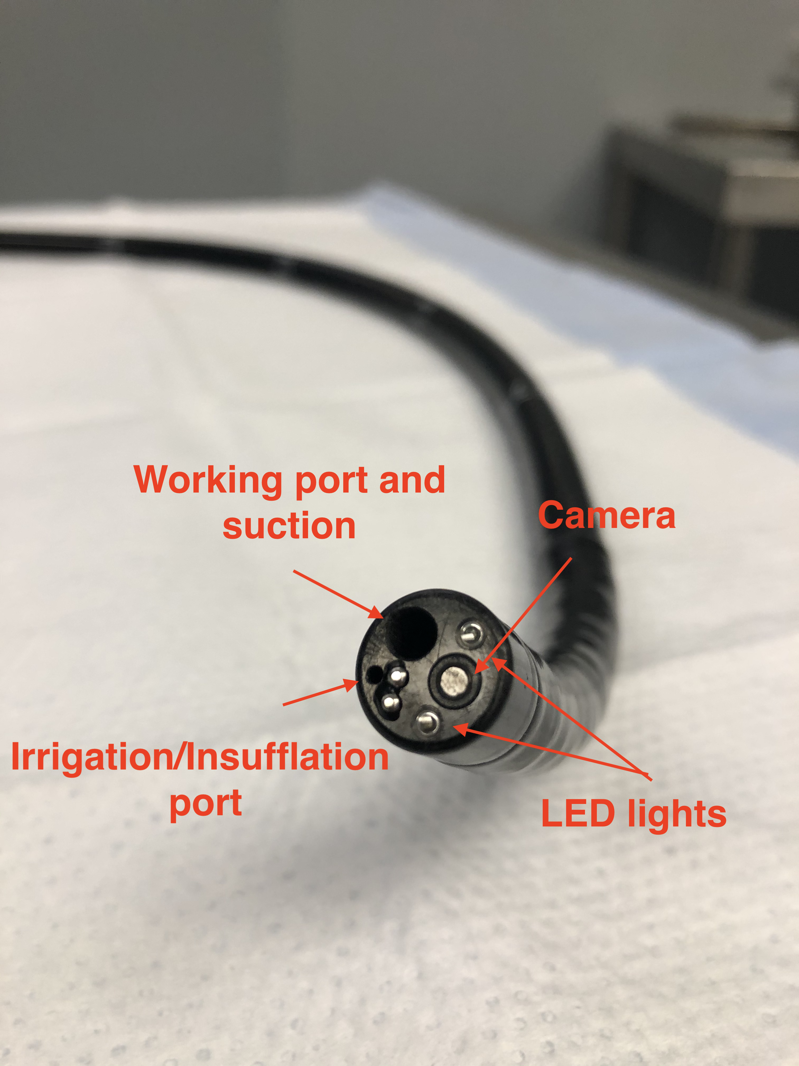 <p>Colonoscope, Parts and Definitions