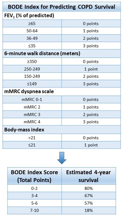 <p>BODE index, Chronic Obstructive Pulmonary Disease (COPD)