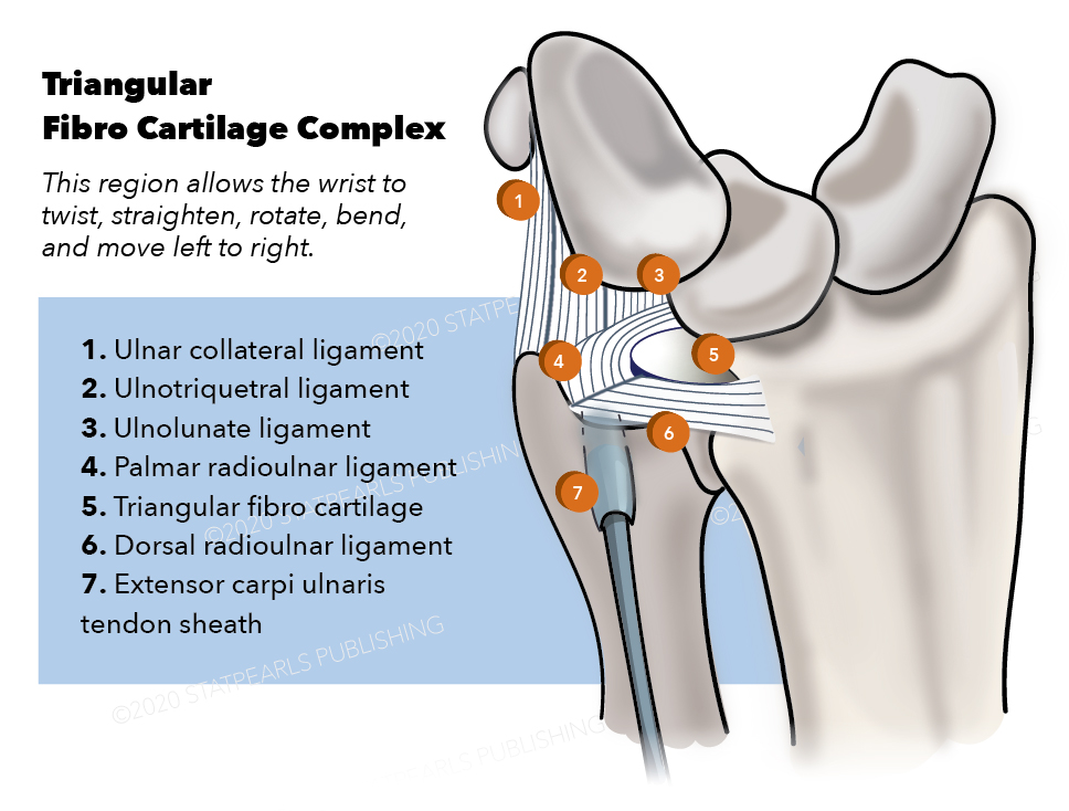 <p>Triangular Fibro Cartilage Complex.</p>