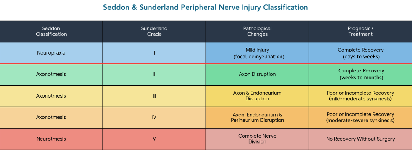<p>Seddon and Sunderland Classifications of Nerve Injury