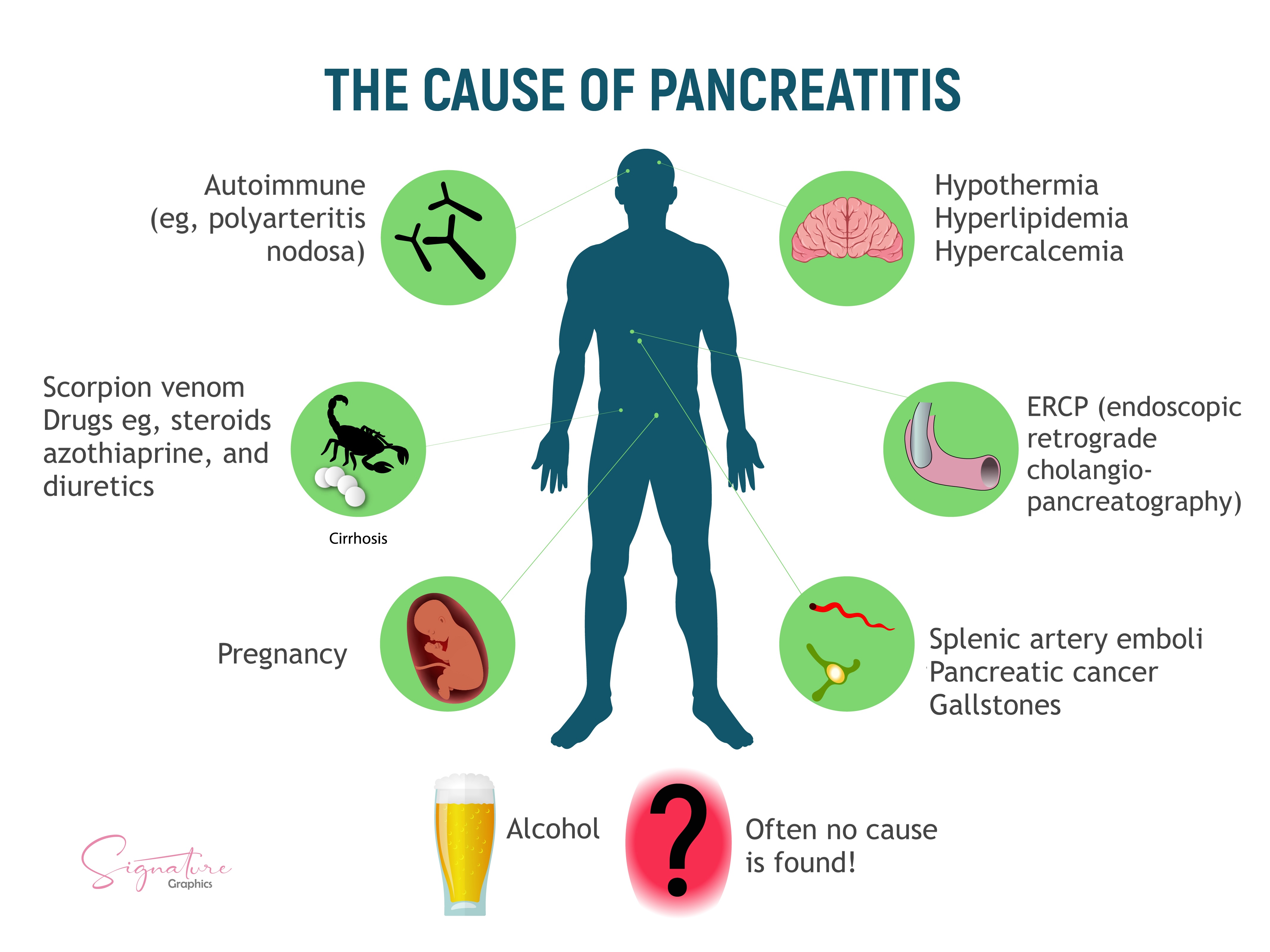 <p>Causes of Pancreatitis. The illustration presents common etiologies of acute pancreatitis.</p>
