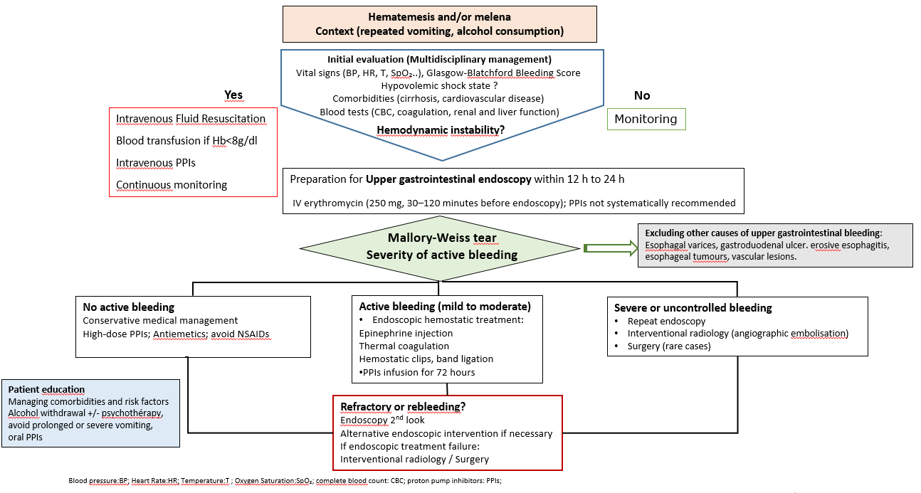 <p>Diagnostic and Therapeutic Algorithm for Mallory-Weiss Syndrome