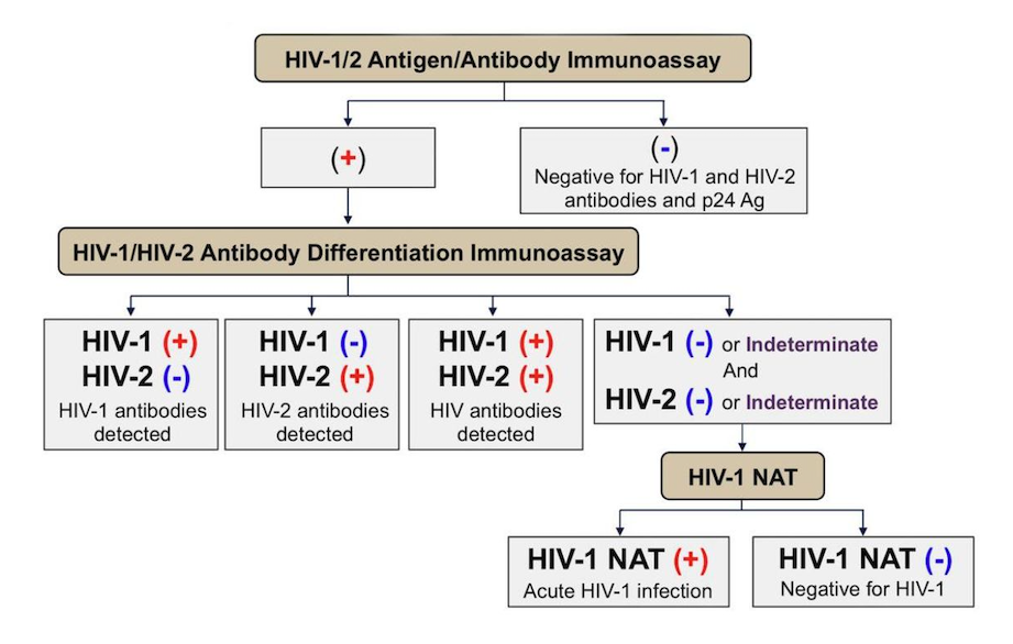 <p>HIV Diagnostic Algorithm