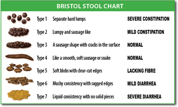 <p>Bristol Stool Chart</p>