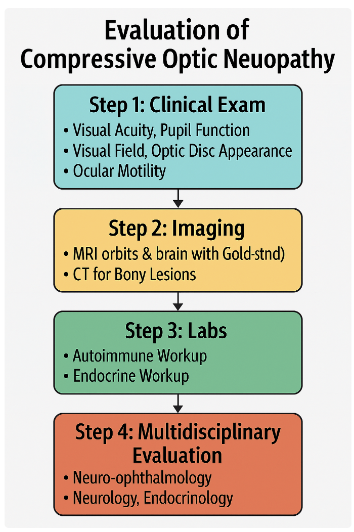 <p>Compressive Optic Neuropathy Evaluation. This image depicts the evaluation approach for compressive optic neuropathy.</p>