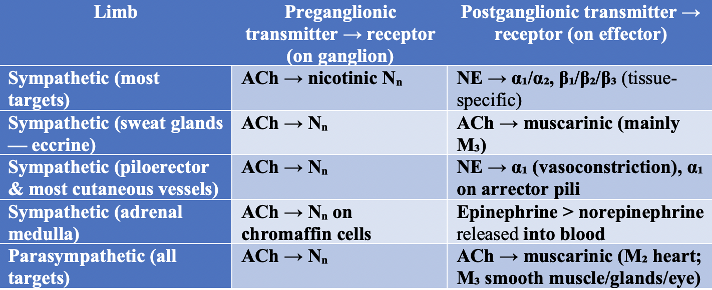 <p>Neurotransmitters of the Autonomic Nervous System