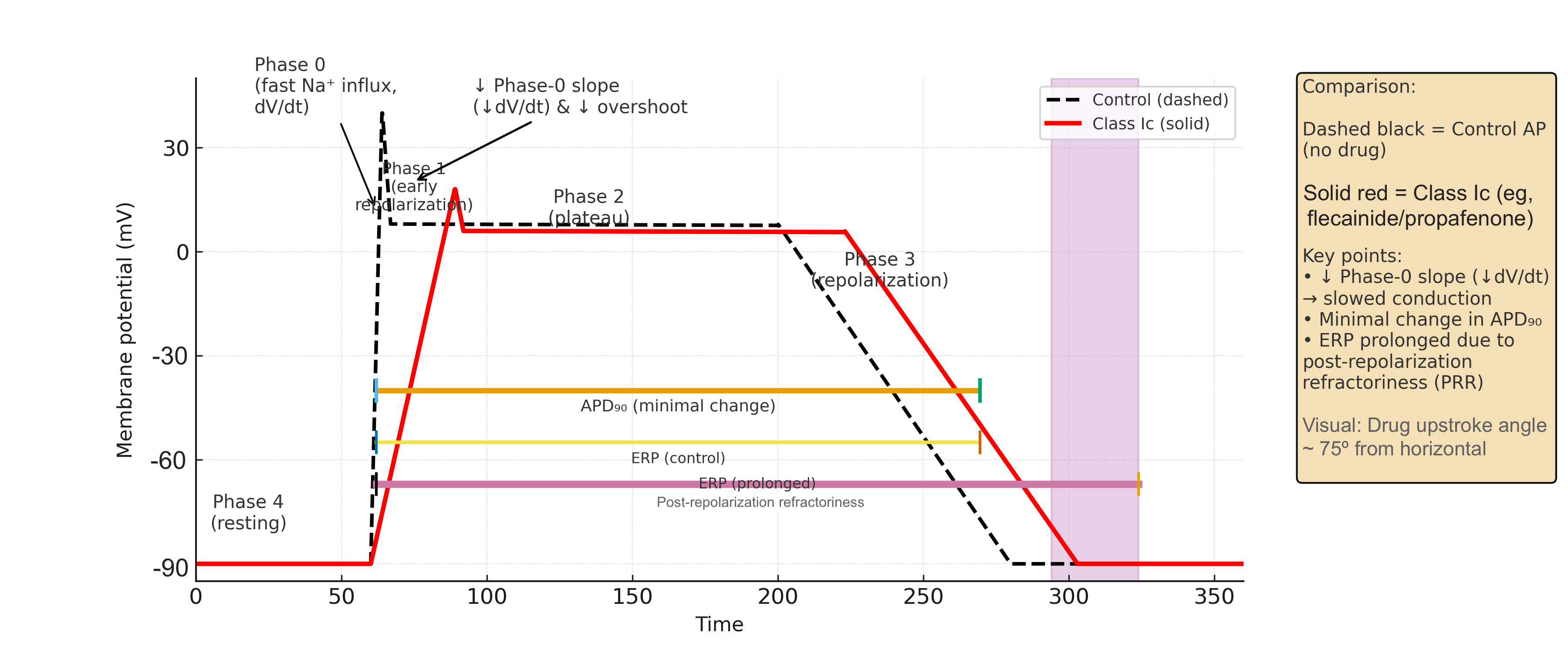<p>Effects of Class Ic Sodium Channel Blockers on Cardiac Action Potential