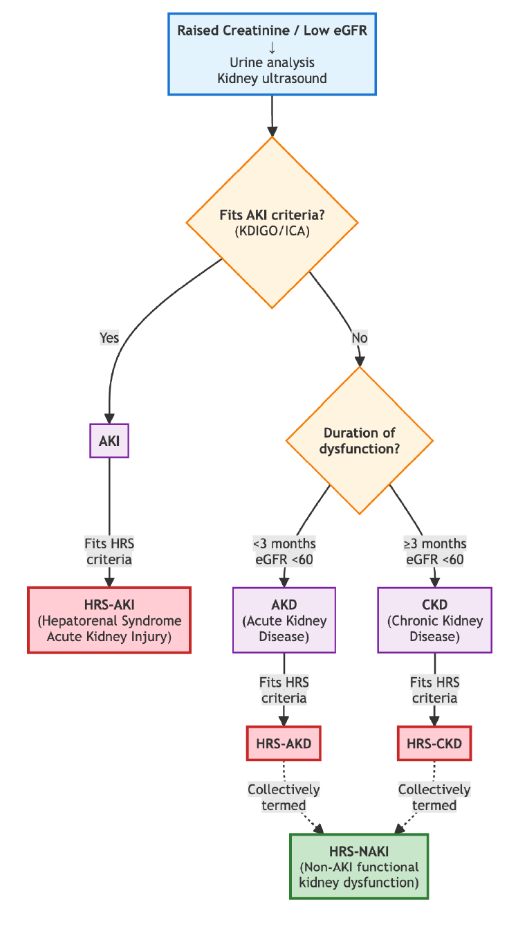 <p>Hepatorenal Syndrome Diagnostic Algorithm