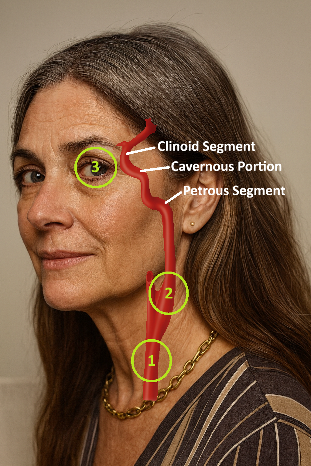 <p>Bruit Assessment Sites