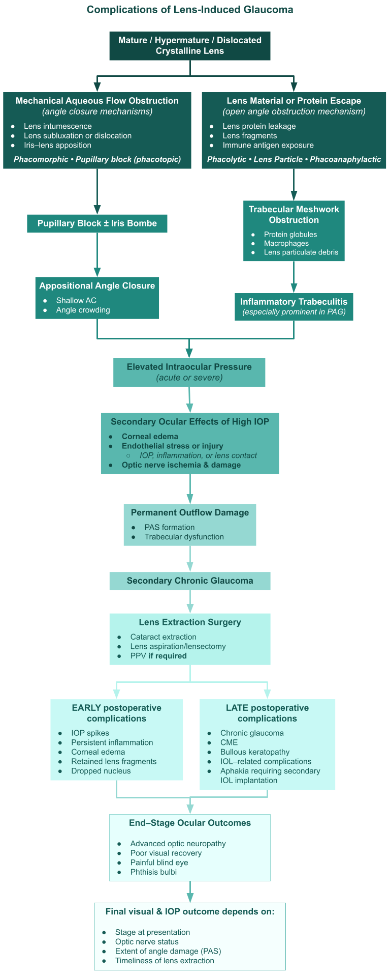 <p>Complications of Lens-Induced Glaucoma