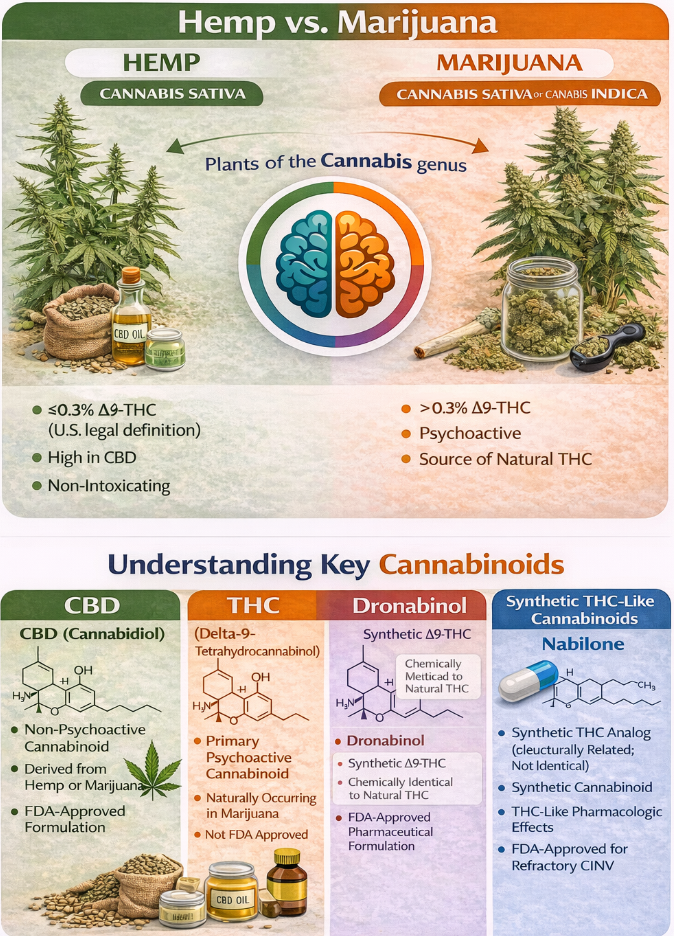 <p>Overview of Key Cannabinoids