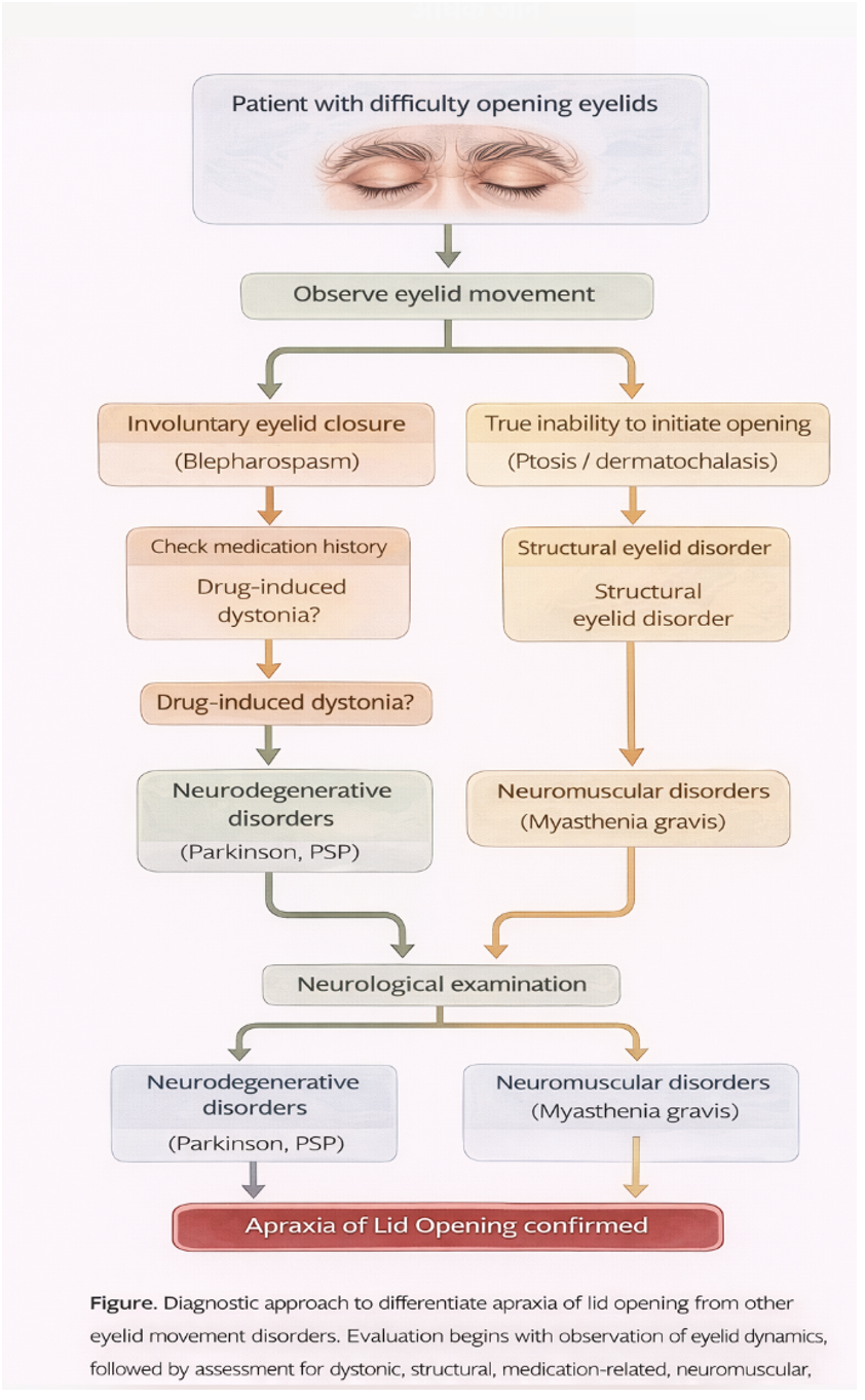 <p>Diagnostic Approach to Apraxia of Lid Opening