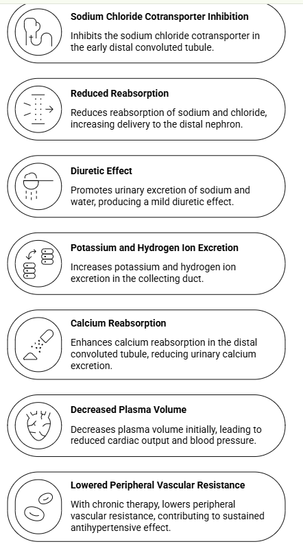 <p>Hydrochlorothiazide Mechanism of Action and Physiologic Effects</p>
