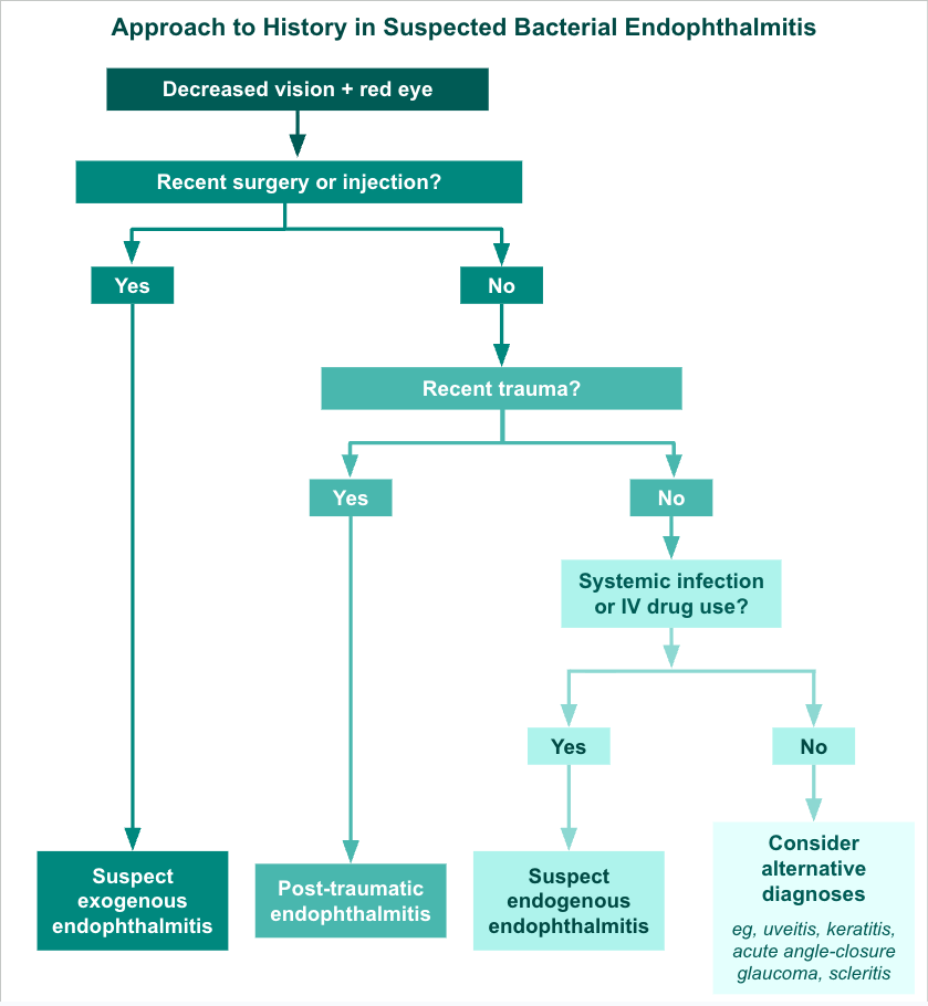 <p>Approach to History in Suspected Bacterial Endophthalmitis