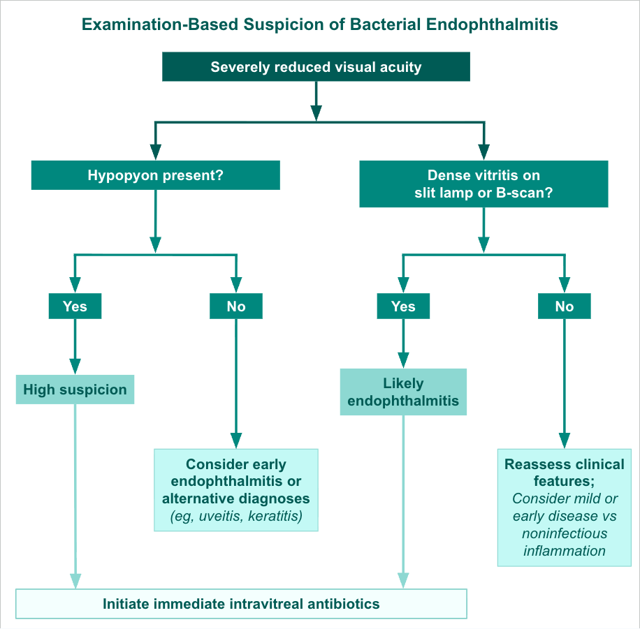 <p>Examination-Based Suspicion of Bacterial Endophthalmitis