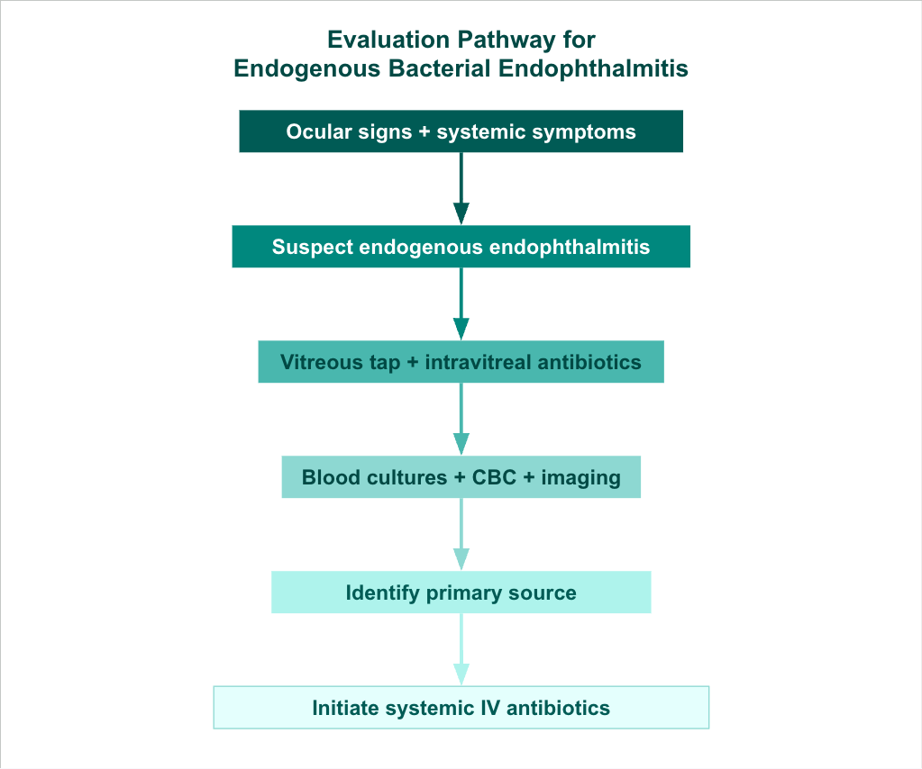 <p>Evaluation Pathway for Endogenous Bacterial Endophthalmitis