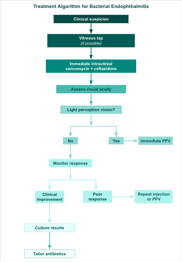 <p>Treatment Algorithm for Bacterial Endophthalmitis