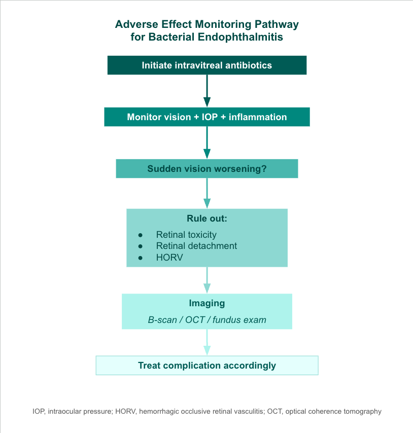 <p>Adverse Effect Monitoring Pathway for Bacterial Endophthalmitis