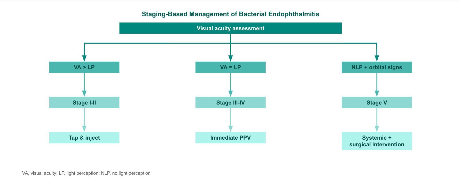 <p>Staging-Based Management of Bacterial Endophthalmitis