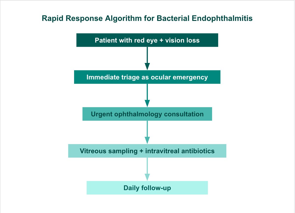 <p>Rapid Response Algorithm for Bacterial Endophthalmitis