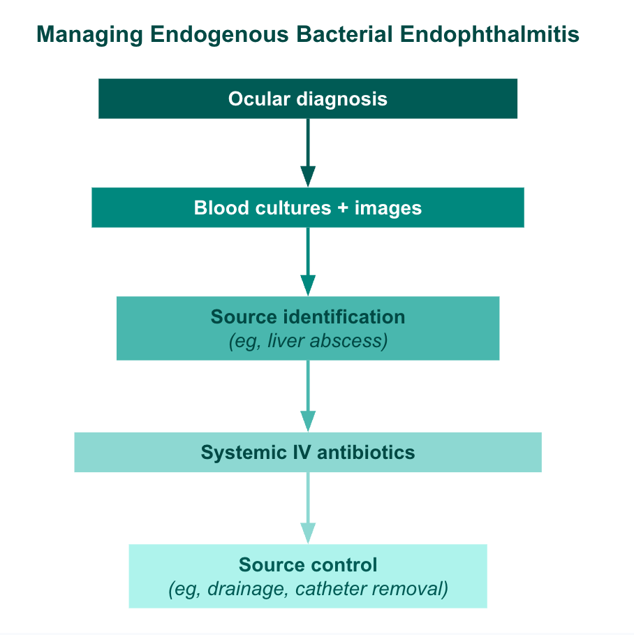 <p>Managing Endogenous Bacterial Endophthalmitis