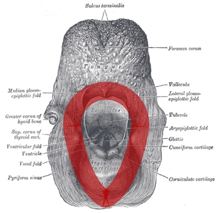<p>Laryngeal mask airway positioning