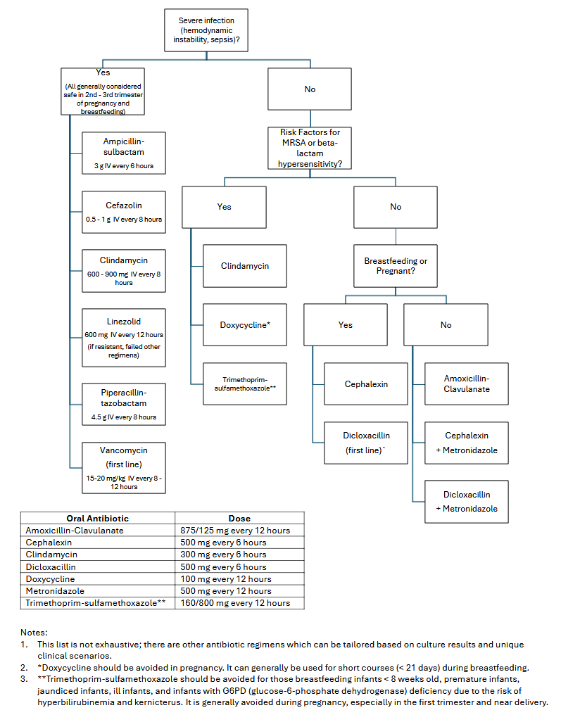 <p>Breast Abscess Antibiotic Flowchart.</p>