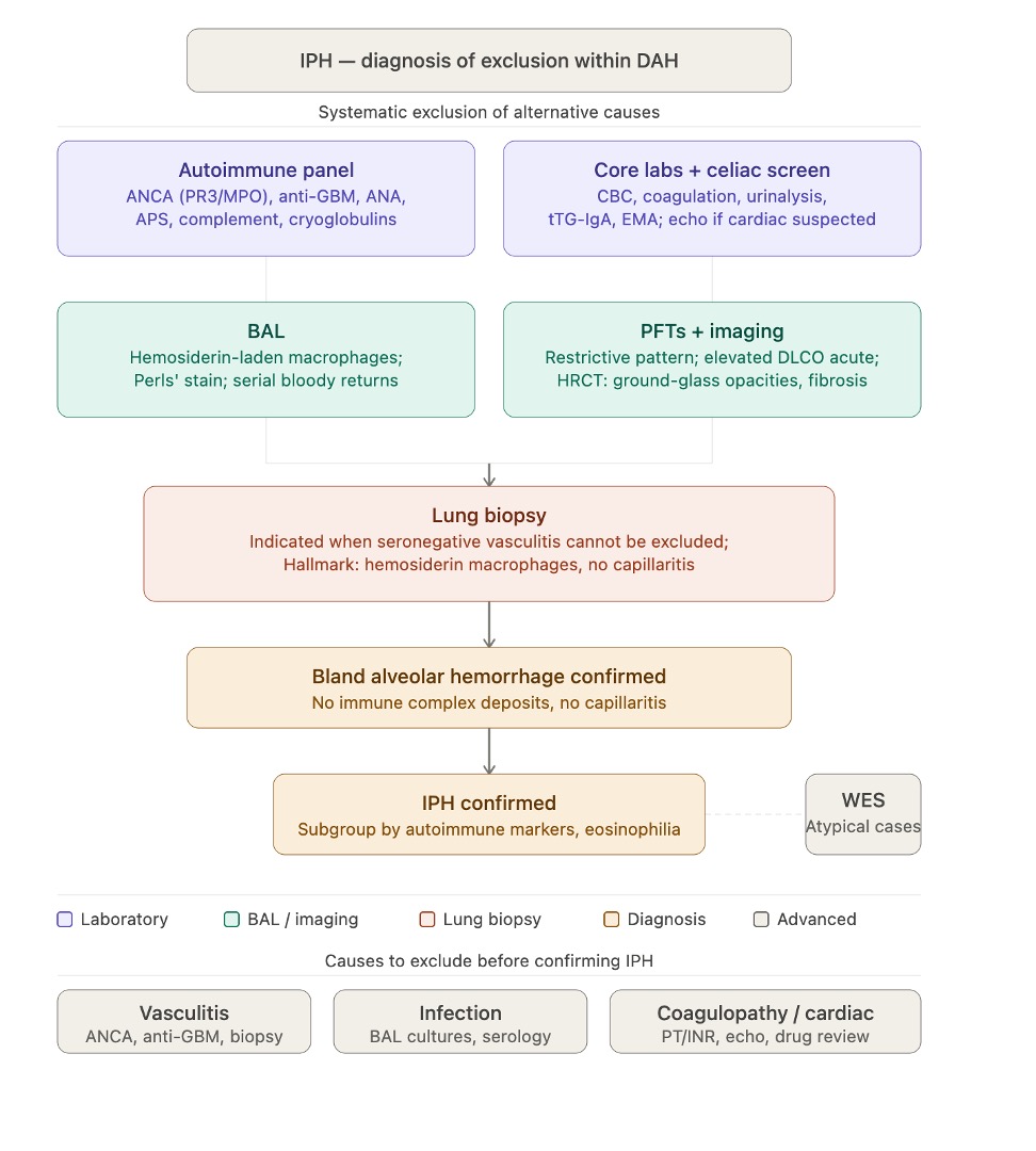 <p>Idiopathic Pulmonary Hemosiderosis Evaluation