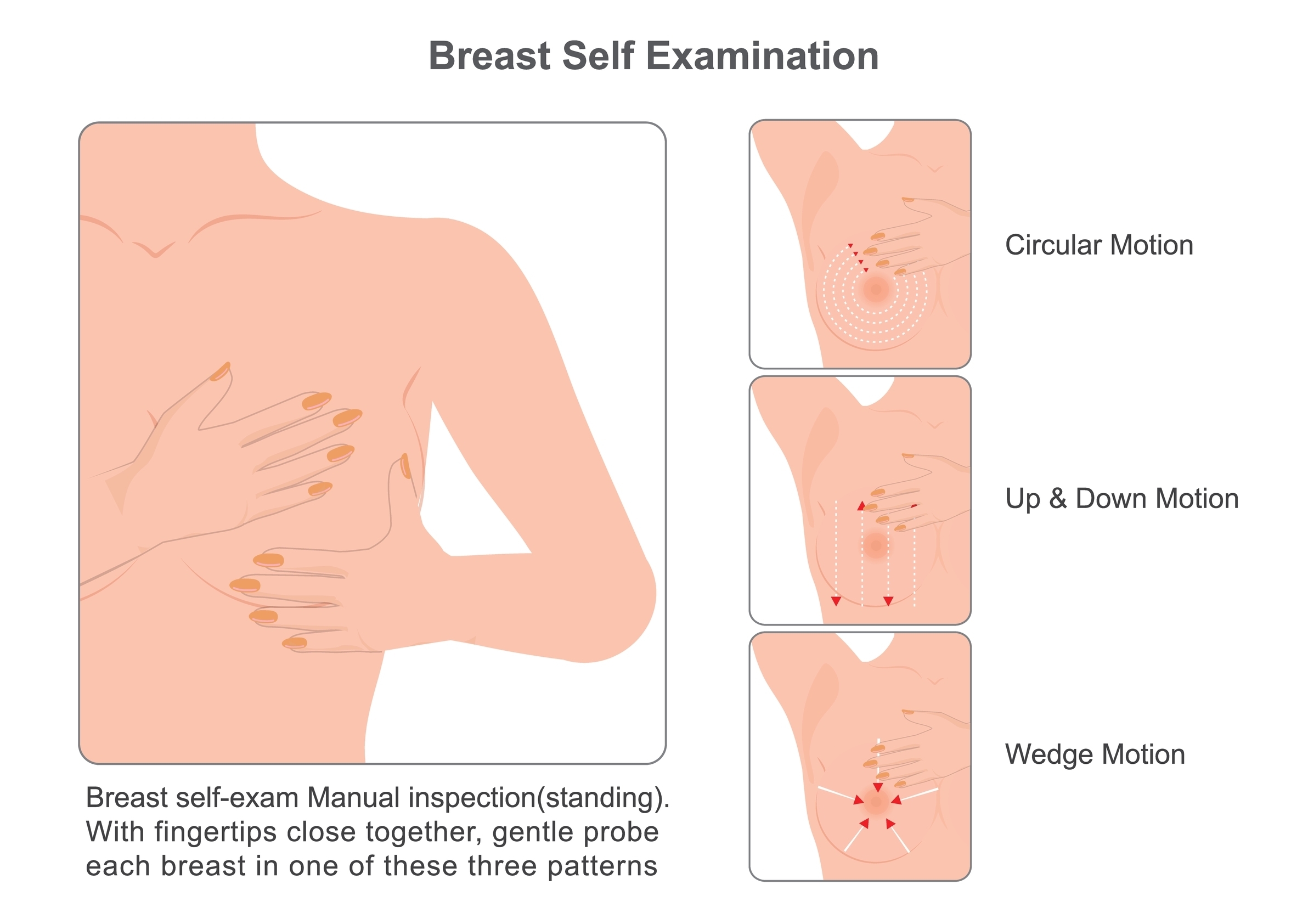 <p>Breast Self-Examination