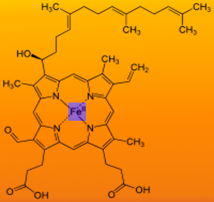 <p>Chemical Structure of Heme A
