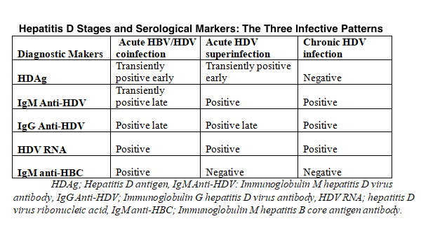 <p>Hepatitis D Stages, Serological Markers, and the 3 Infection Patterns